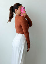 Size XS-S Rust Ribbed Mock Neck Top